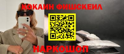 крисы Моздок