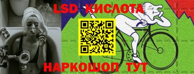амф Можга