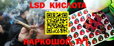 PSILOCYBIN Нарткала