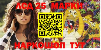 крисы Моздок