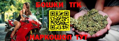 крисы Моздок