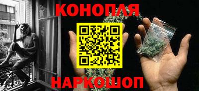 крисы Моздок