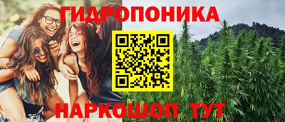 крисы Моздок