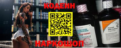 крисы Моздок