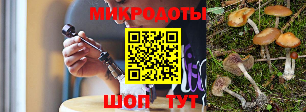 Галлюциногенные грибы Psilocybe Тайшет