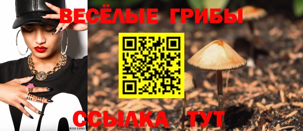 Галлюциногенные грибы прущие грибы  даркнет сайт  Тайшет  Галлюциногенные грибы мухоморы  Вход с VPN 